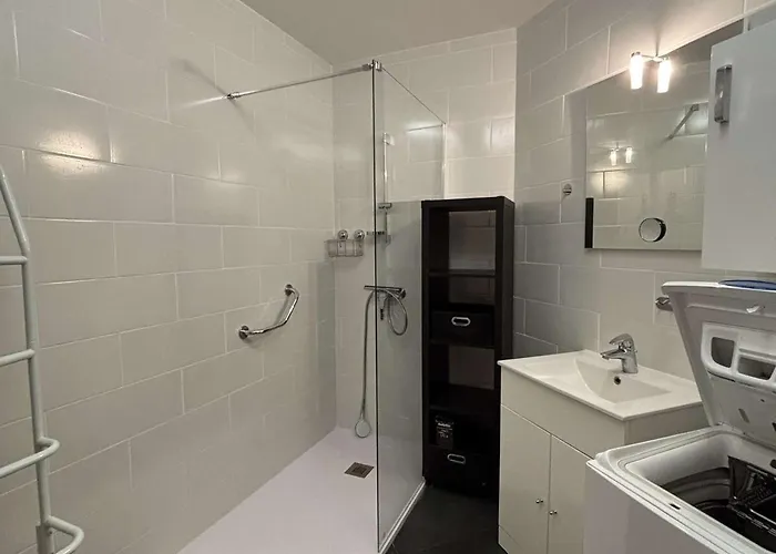 Confortable Proche Des Thermes, Animaux Admis - Fr-1-503-3 公寓